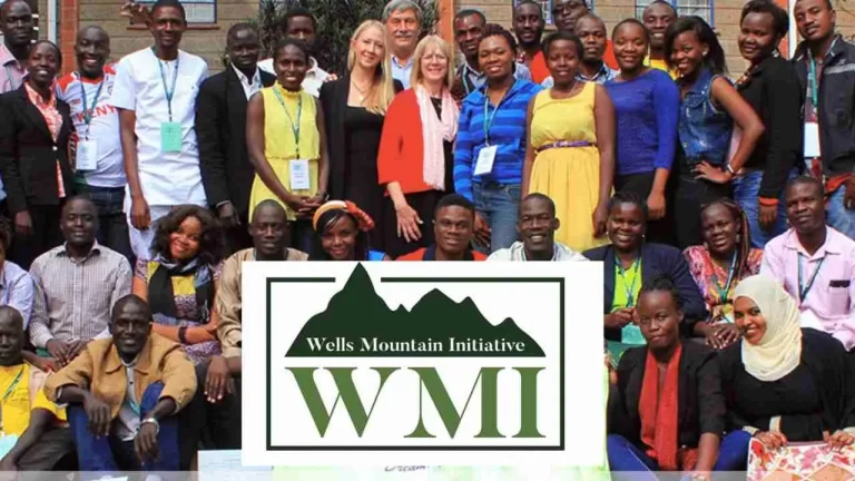 2023 Wells Mountain Education Scholarship Program In Developing Countries