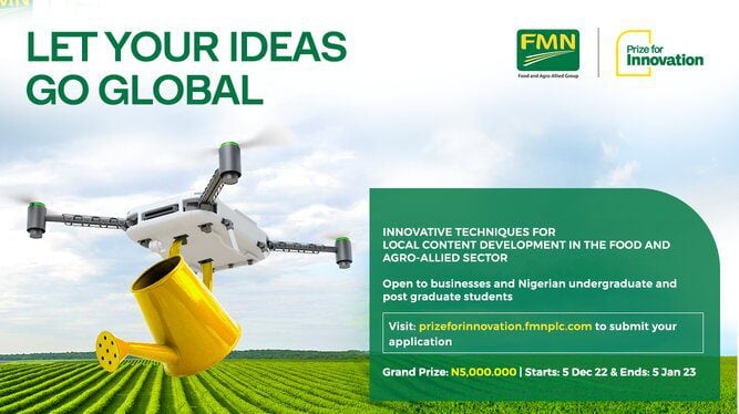 Flour Mills of Nigeria (FMN) Prize for Innovation Competition for Nigerian SMEs & Students (5 Million Naira grand Prize)