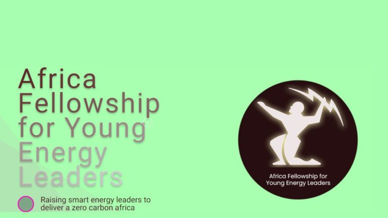 Africa Fellowship for Young Energy Leaders (AFYEL) 2023 to Train Young African Recent Graduates