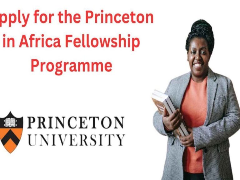 Princeton in Africa fellowship 2024/2025 for Young African Professionals.