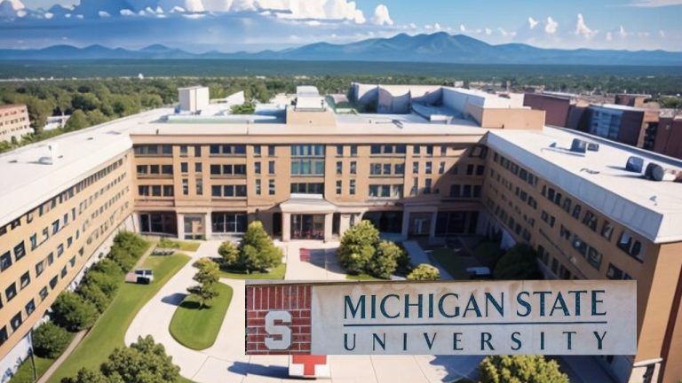 Study-In-USA: Michigan State University (MSU) Nnamdi Azikiwe International African Student Fellowship 2024.