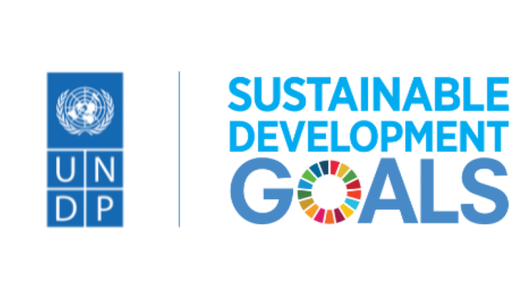 UNDP Research Fellowship in Turkey.