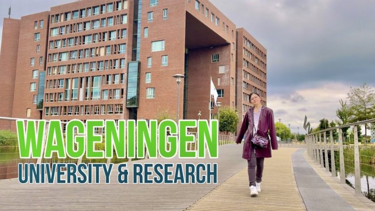 Wageningen University & Research 2025 Africa Scholarship Programme in the Netherlands (Fully Funded)