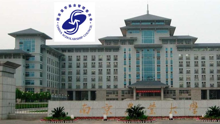 Youth of Excellence Scheme for China Program: Fully Funded Chinese Government Scholarship 2025