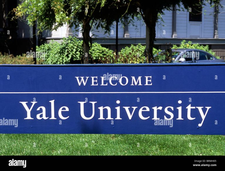 2025 Yale Young African Scholarship Program in the USA (Fully Funded)