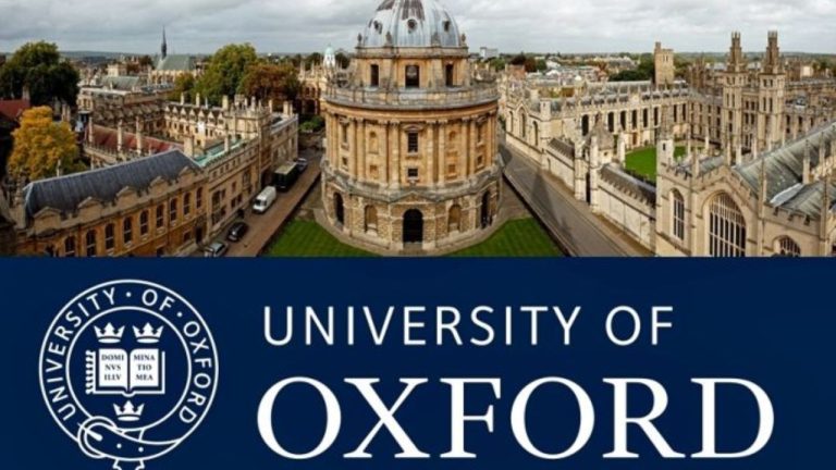 The FirstRand Oxford Smith School of Enterprise and The Environment Scholarship 2025