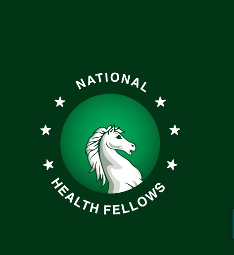 2025 National Health Fellows Program for Nigerians