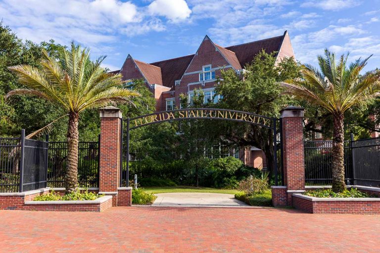 Florida State University Undergraduates Scholarship for Internationals Students 2025