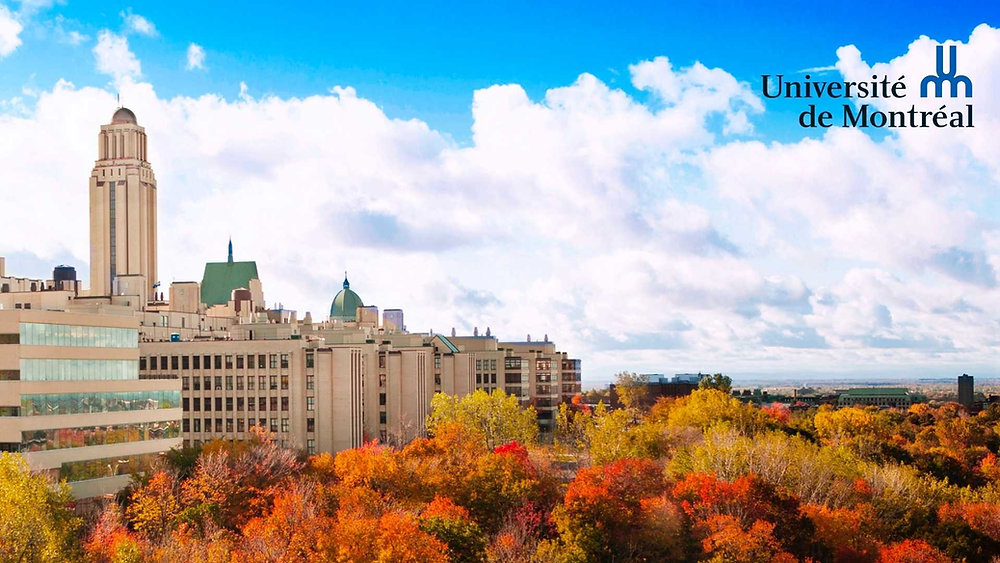 University of Montreal Scholarship for International Students 2025