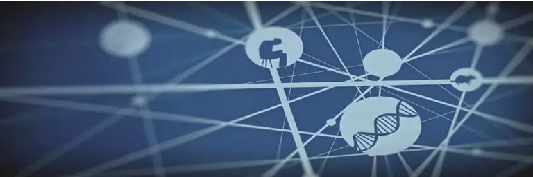 International Max Planck Research School for Translational Psychiatry (IMPRS-TP) PhD Scholarship program 2025