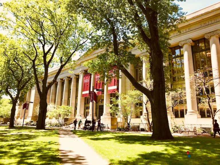 TU Dresden MSc Tropical Forestry & Management | DAAD Scholarship 2026/2026 for International Students (Study in Germany)