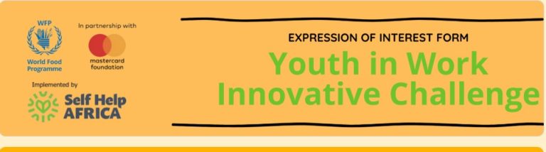 Youth in Work – Innovative Challenge 2025/2026 | Funding & Mentorship for Young Innovators in Kano State