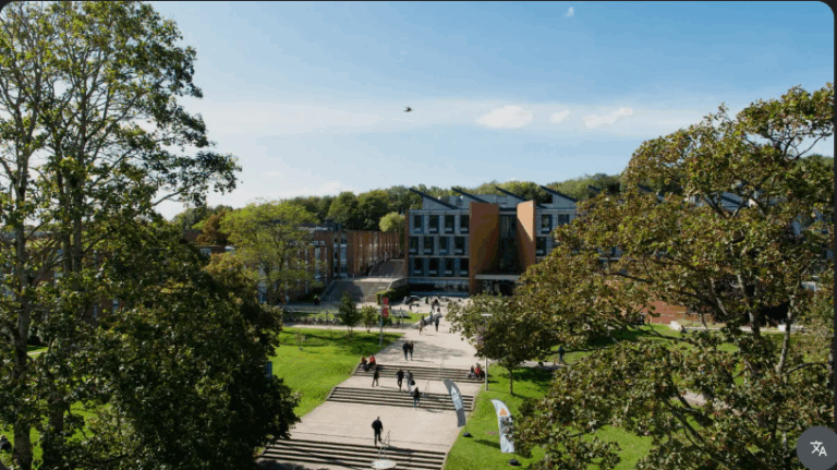 Sussex MBA Impact Scholarship 2025 for Future Global Business Leaders
