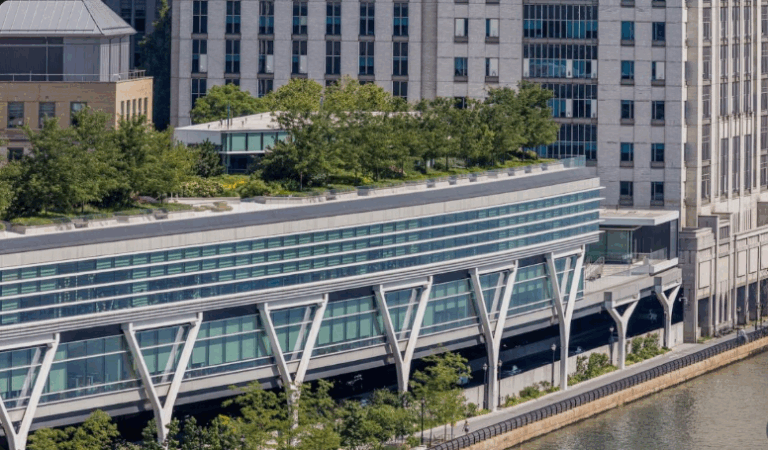 Rockefeller University Chemers Neustein SURF Fellowship 2026 – Fully Funded Summer Research Program in New York