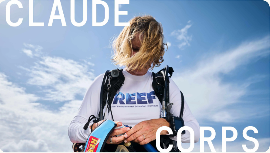 Claude Corps Fellowship 2026: Anthropic Is Paying $85,000/Year for People Who Want to Use AI for Good